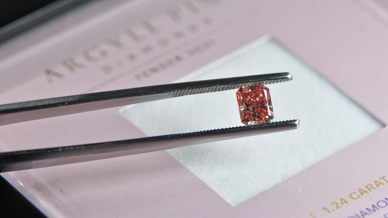 Argyle Diamant mit zugehöriger Dokumentation