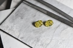 2xFancy Yellow